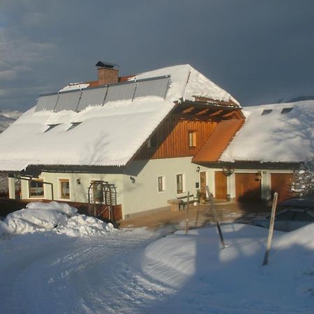 Apartamento Haus Schober Windischgarsten Exterior foto
