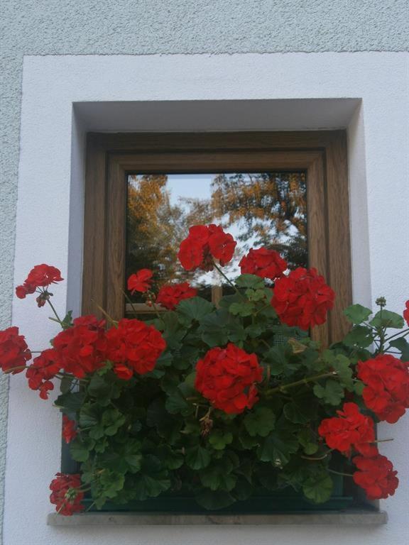 Apartamento Haus Schober Windischgarsten Exterior foto